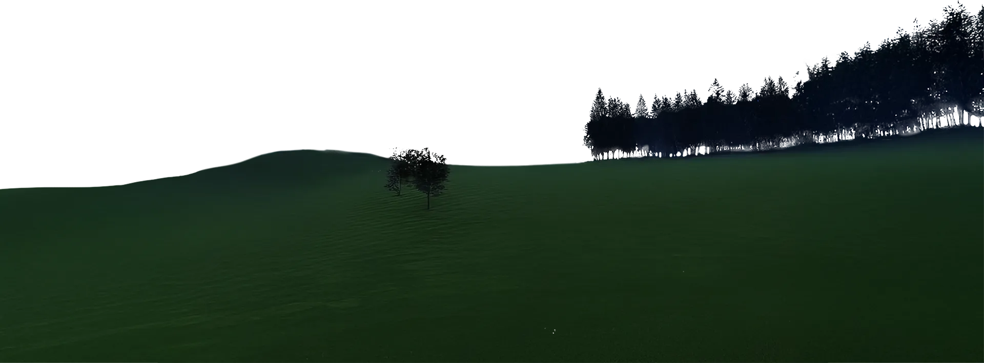 Green plain with trees