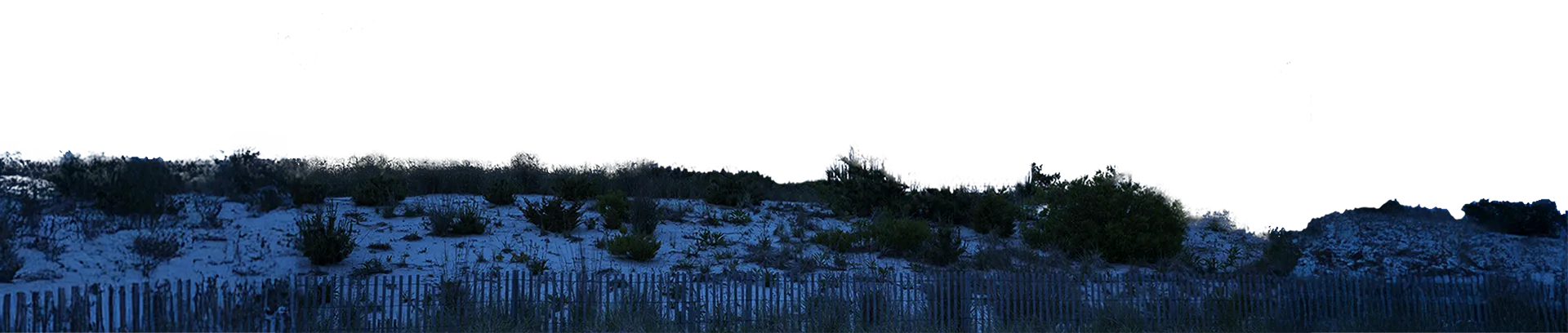 Sandy hill with bushes and a fence in the foreground