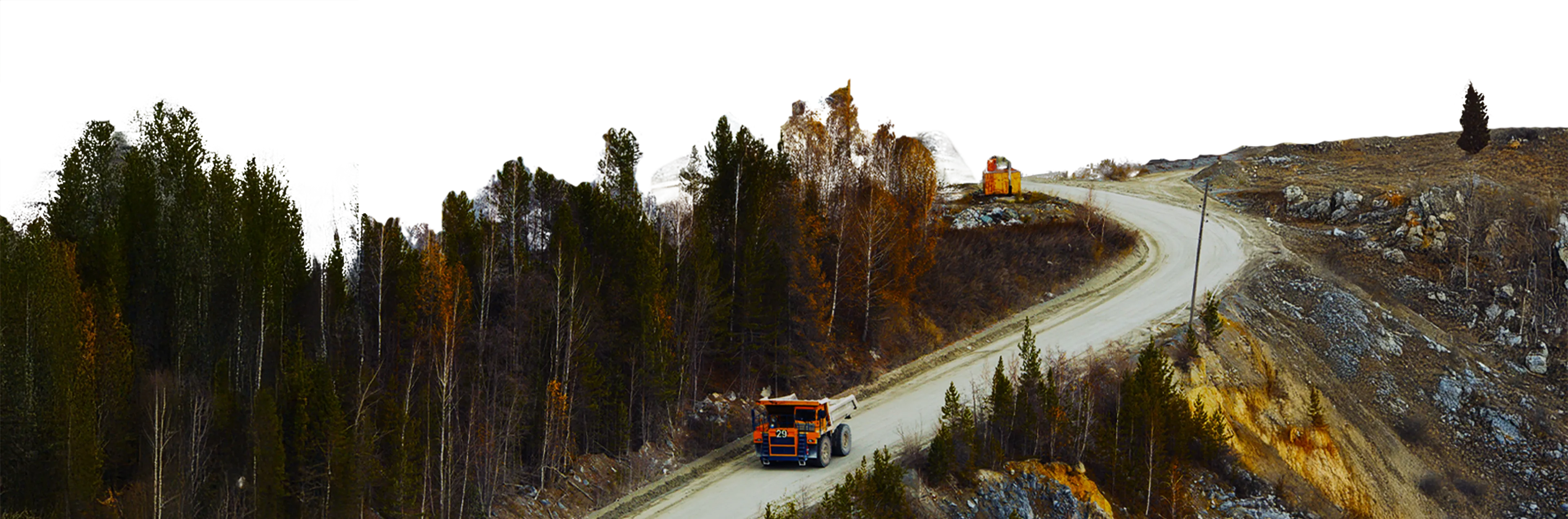 Road surrounded by trees
